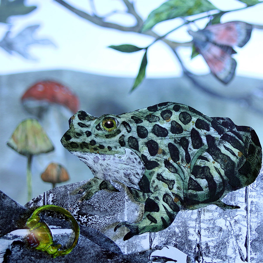 Folktale Toad: Caroline Rudge