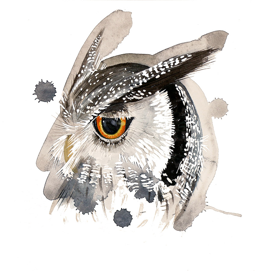 Owl: Caroline Rudge