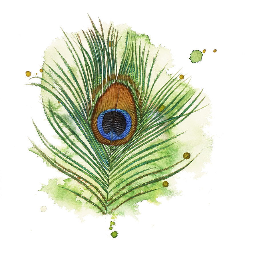 Peacock Feather: Caroline Rudge