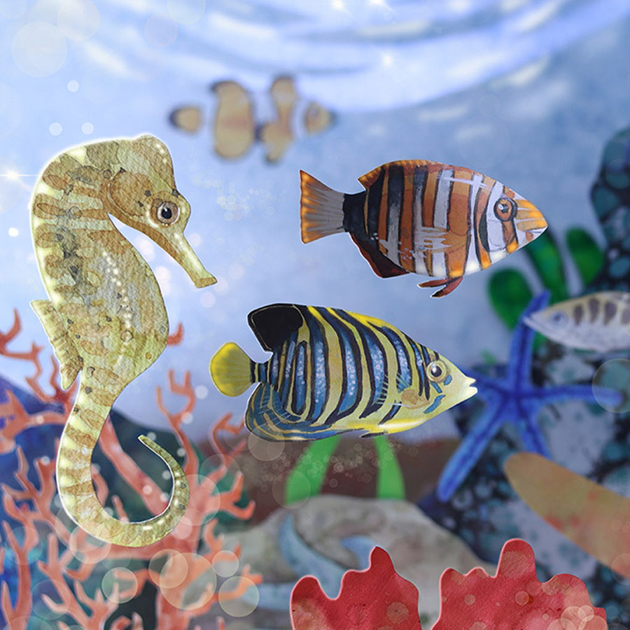 Reef: Caroline Rudge